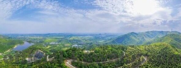 91国产麻豆精品-探索国产影视奇葩——91国产麻豆精品的独特魅力与市场现状